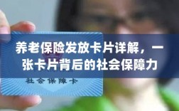 养老保险发放卡片全面解析，社会保障力量的见证