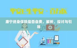 康宁终身保险的自费问题深度解析与探讨