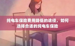 纯电车保险费用降低的途径及保险选择攻略