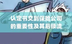 认定书对保险公司的重要性及后续流程详解