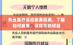 失业医疗保险缴费指南，全面解析缴费流程，保障您的权益不受影响