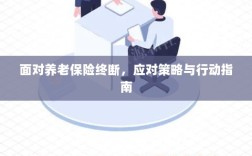 养老保险中断危机，应对策略与行动指南