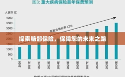 探索脑部保险，为您的未来保驾护航