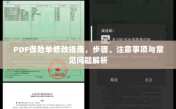 PDF保险单修改指南，步骤、注意事项及常见问题解析