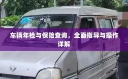 车辆年检与保险查询操作指南，全面指导与详解
