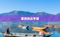 幕府风云手游，单机还是联机？游戏特性与体验深度解析