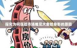 大金险在保险市场难觅踪影的探究