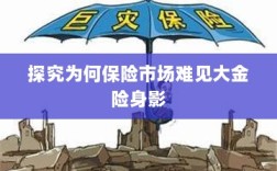 大金险在保险市场难觅踪迹的探究