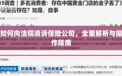 保险公司追诉指南，向法院追诉的全面解析与操作指南