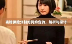 离婚保险分割约定详解，解析与探讨