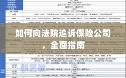 如何向法院追诉保险公司，全面指南解析