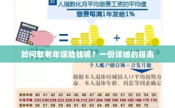 老年保险金额领取指南，步骤与注意事项详解