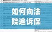 如何向法院追诉保险公司，全面指南解析