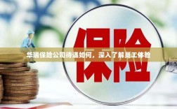华瑞保险公司员工待遇与体验深度解析