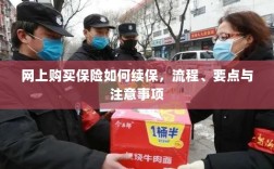 网上保险续保攻略，流程、要点与注意事项全解析