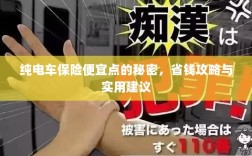 纯电车保险省钱攻略，如何找到更便宜的保险与实用建议