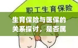 生育保险与医保的关系解析，是否属于医保范畴？