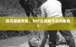 探究保险市场，为何缺乏大额保险金险种？
