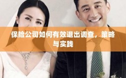 保险公司有效退出调查的策略与实践探讨