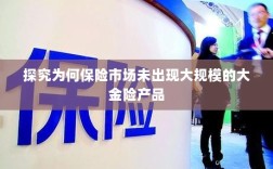 探究保险市场未出现大规模大金险产品的原因