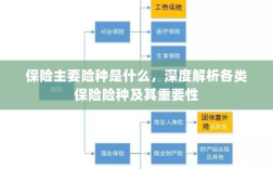 深度解析，保险主要险种及其重要性介绍