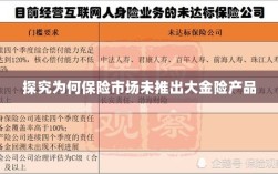保险市场为何未推出大金险产品探究