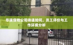 华瑞保险公司员工待遇及工作环境深度解析，员工评价揭示真相