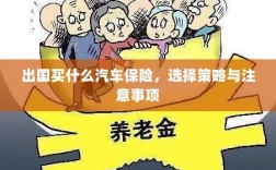 出国购车保险指南，选择策略与注意事项
