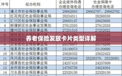 养老保险发放卡片类型全面解析
