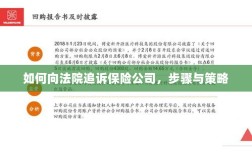 如何追诉保险公司，步骤、策略及法律途径指南
