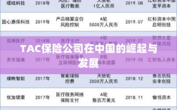 TAC保险公司在中国的崛起与蓬勃发展之路