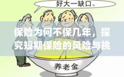 探究短期保险的风险与挑战，为何保险不保障长期？