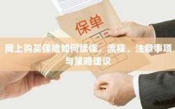 网上保险续保指南，流程、注意事项及策略建议