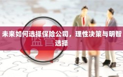 未来如何选择保险公司，理性决策与明智的保险选择之道