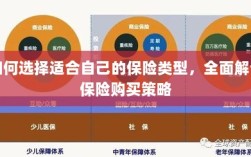 如何选择适合自己的保险类型，全面解读保险购买策略与策略分析