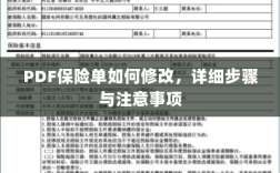 PDF保险单修改指南，步骤与注意事项全解析