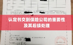 认定书交到保险公司的重要性及后续处理流程详解
