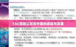 TAC保险公司在中国的崛起与蓬勃发展之路