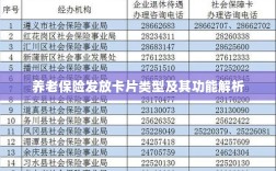 养老保险发放卡片类型与功能深度解析