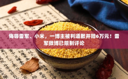 博主因侮辱雷军、小米被判道歉并赔偿6万元，雷军微博评论区被限制——一场言论风波的背后