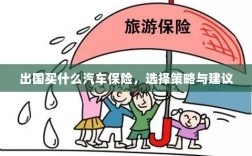 出国购车保险指南，选择策略与建议