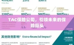 TAC保险公司，引领保险行业未来巨头之路