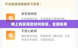 网上购买保险的续保指南，全面解析保险续保流程