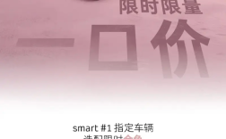 限时限量抢购！奔驰Smart精灵1/3一口价仅需14.99万起！
