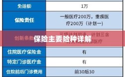 保险主要险种详解概览