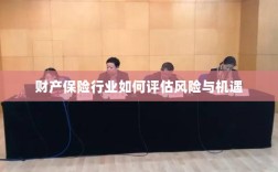 财产保险行业风险与机遇的评估策略