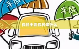 保险主要险种简介与概述