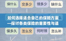 如何选择适合自己的保险方案，各类保险的重要性与适用性探讨