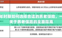 中年时期如何选择养老保险，全面指南助你做出明智决策