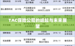 TAC保险公司的崛起及未来展望